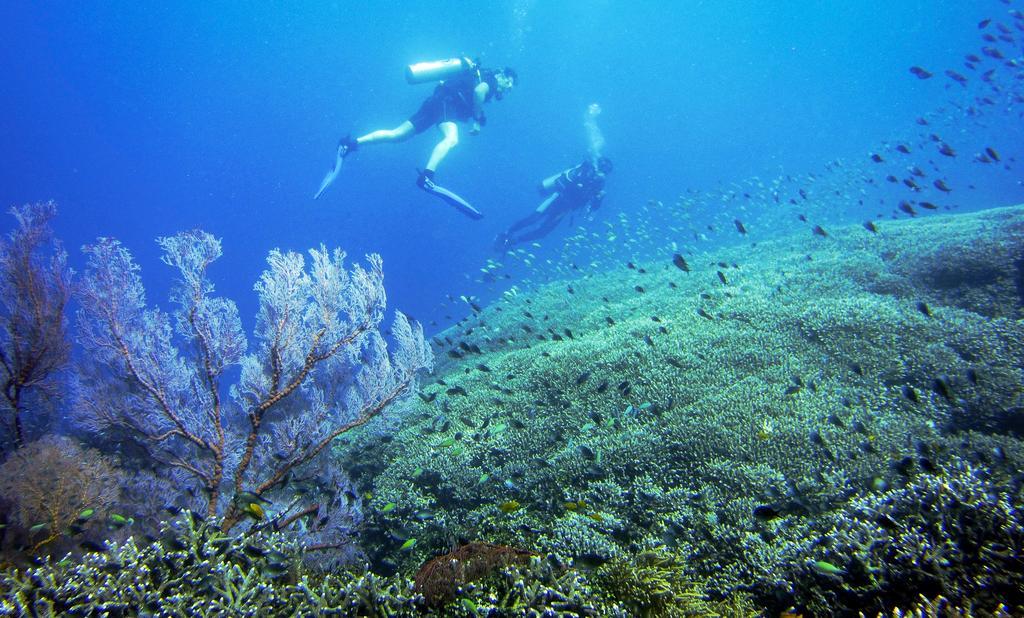 Villa Coral Pemuteran Kültér fotó