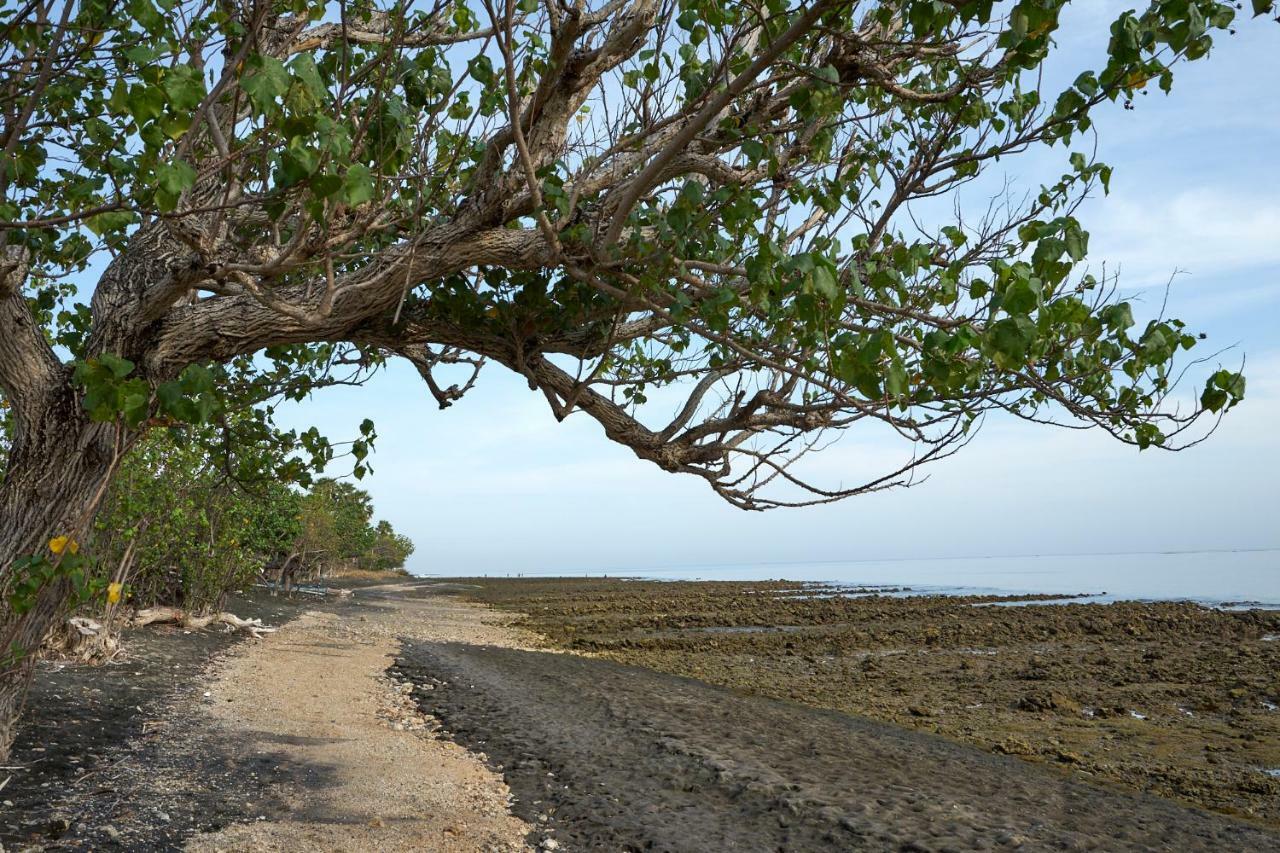 Villa Coral Pemuteran Kültér fotó